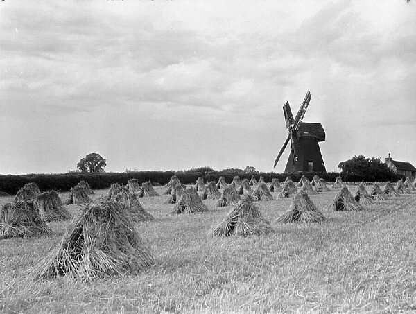 The Shiremark Mill near Horsham on the Surrey, Sussex borders. August 1933 987