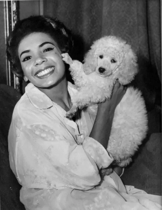 Framed Print : Shirley Bassey with her pet poodle pictured during a visit to Cardiff - 19th Sept 1958 Framed Print : Shirley Bassey with her pet poodle pictured during a visit to Cardiff - 19th Sept 1958