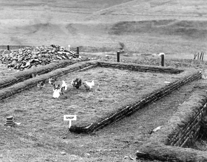 Framed Print : The shop at the Roman fort of Housesteads, Northumberland makes an excellent feeding