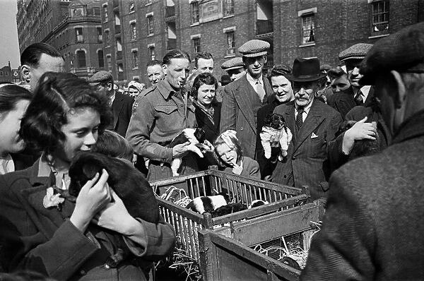 Shoppers visit at a pet market in Bethnal Green, East London. 20th May 1946