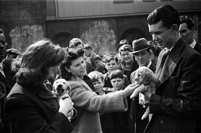 Framed Print : Shoppers visit at a pet market in Bethnal Green, East London. 20th May 1946 Framed Print : Shoppers visit at a pet market in Bethnal Green, East London. 20th May 1946