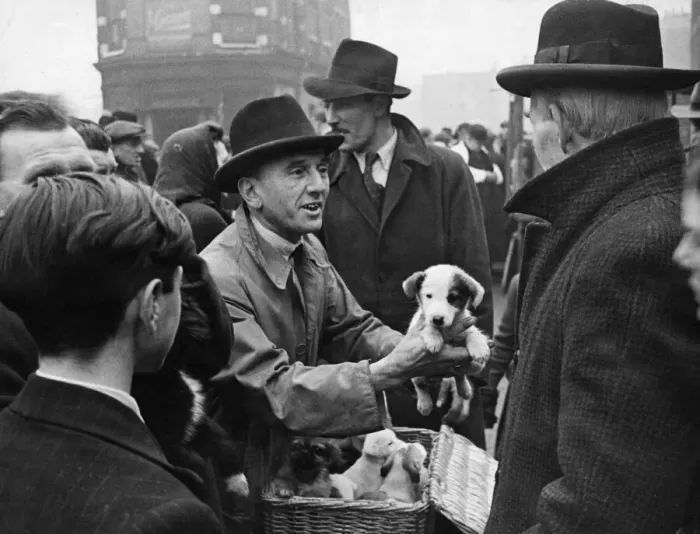 Framed Print : Shoreditch open air livestock market 12th December 1944 The pavement market for Framed Print : Shoreditch open air livestock market 12th December 1944 The pavement market for
