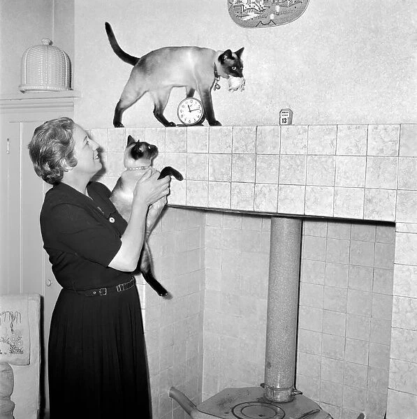 Siamese cats with their owners. 1954 A120-006