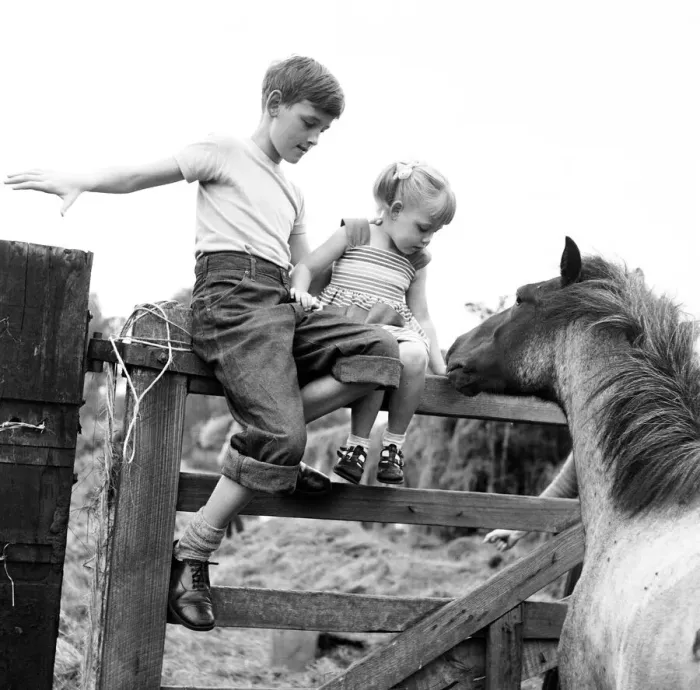 Framed Print : Siblings, Helen (3) and Paul Burrows (9) from Waterloo, London
