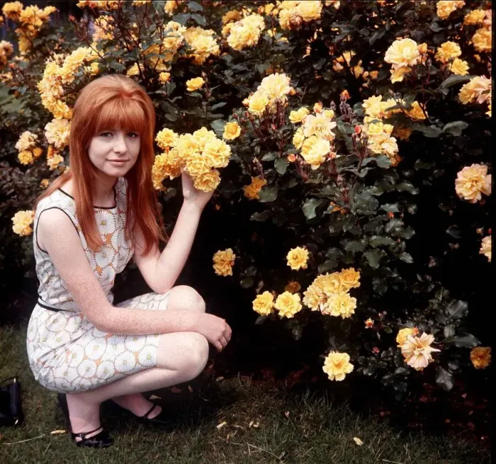 Framed Print : Singer, actress and model Jane Asher Framed Print : Singer, actress and model Jane Asher