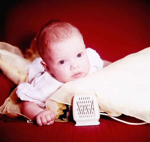 Singer Kim Wilde, daughter of Marty, as a baby in 1961 dbase MSI Brochure