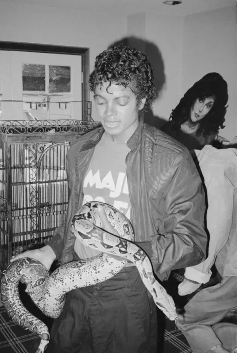Framed Print : Singer Michael Jackson with his pet Muscles the boa constrictor at his home in California Framed Print : Singer Michael Jackson with his pet Muscles the boa constrictor at his home in California