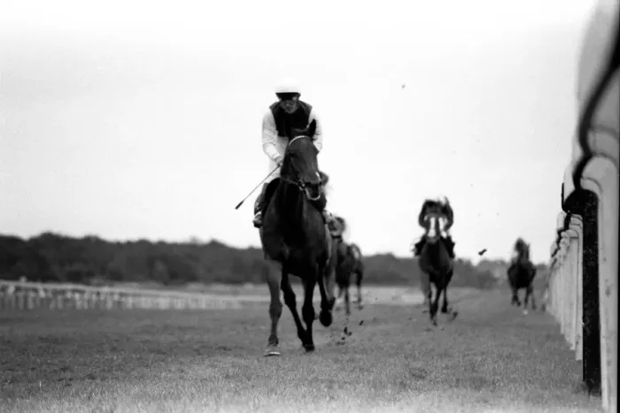 Framed Print : Singletta, with jockey Walter Swinburn virtually a passenger Framed Print : Singletta, with jockey Walter Swinburn virtually a passenger