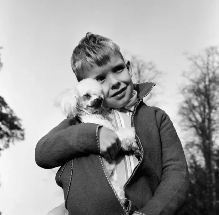 Framed Print : Six-year-old Richard Brown with his miniature white Poodle Dewdrop
