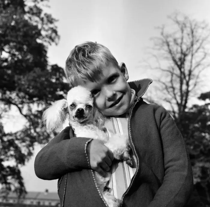Framed Print : Six-year-old Richard Brown with his miniature white Poodle Dewdrop