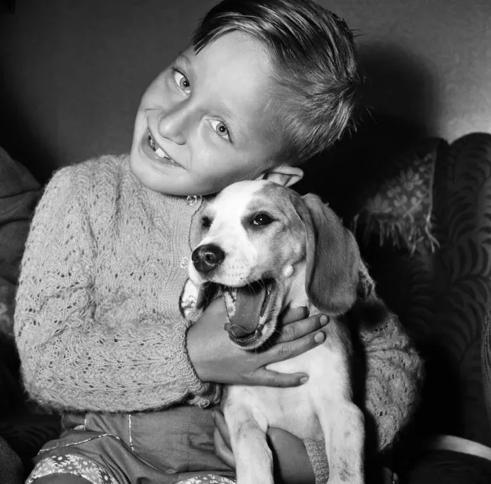Framed Print : Six-year-old Tony Wood of Swanscombe, Kent, has a disability and is learning to walk Framed Print : Six-year-old Tony Wood of Swanscombe, Kent, has a disability and is learning to walk