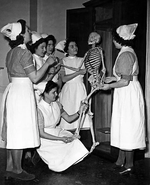 Skeleton in their Cupboard. Nurses being taught anatomy. April 1948 P000235