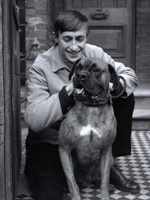 Framed Print : slobber chops'(income tax office story) animal boxer dog standing up Framed Print : slobber chops'(income tax office story) animal boxer dog standing up