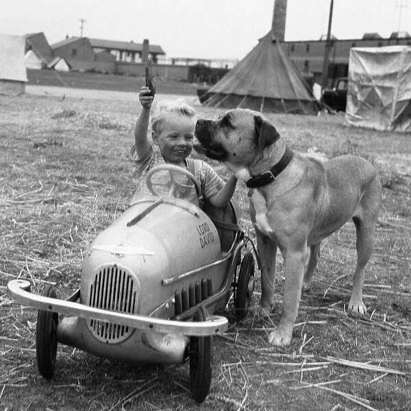 Small boy in his pedal car plays fetch with his pet dog on the South Denes