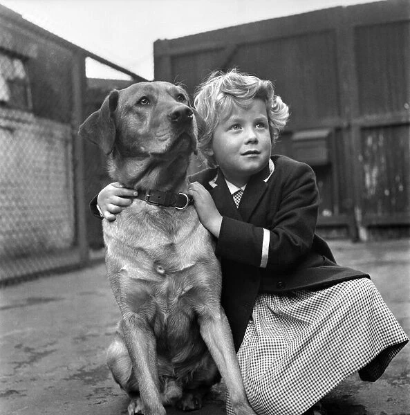 A small girl is reunited with her lost dog at the RSPCA kennels. June 1960 M4456-001