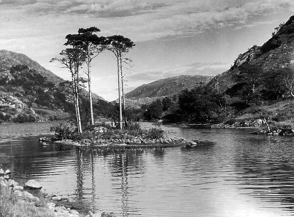 One of the small tree covered island on Loch Eilt Circa 1950