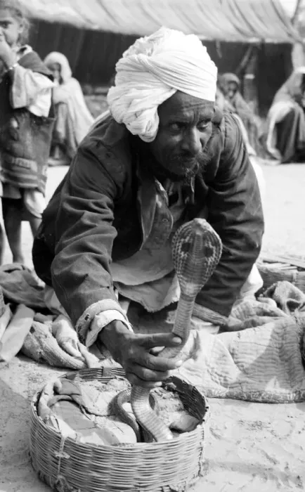 Framed Print : Snake charmers in the market at Poonah. April 1959 Framed Print : Snake charmers in the market at Poonah. April 1959