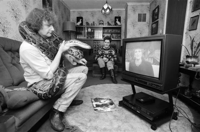 Framed Print : When snake lover Tony Griffiths settles down to watch TV with Monty, his pet python