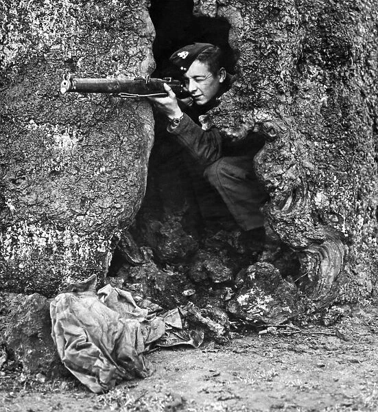 A sniper taking aim from a natural hideout in the hollow trunk of a tree during rifle