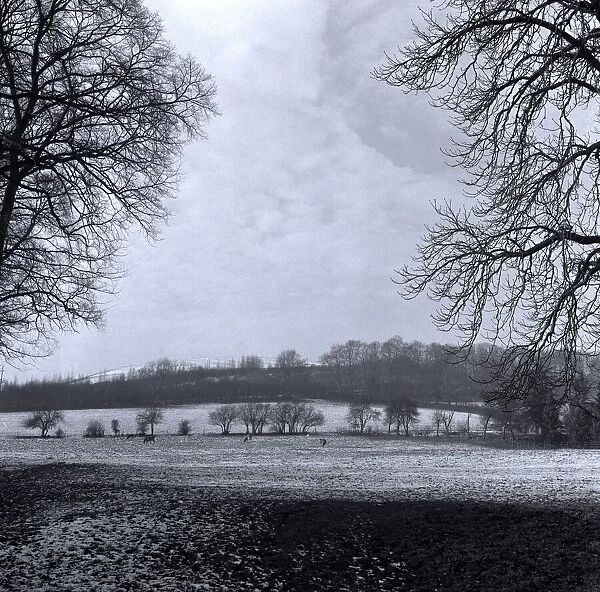 Snow covered fields in a Farm in the Hertfordshire countryside with the skeletal trees in