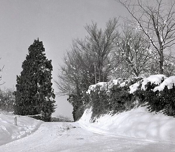 Snow scene at Sandy Hatch lane near Ashford Hertfordshire Pathway path