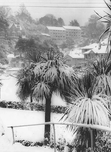 Snow scene. Torquay January 1962