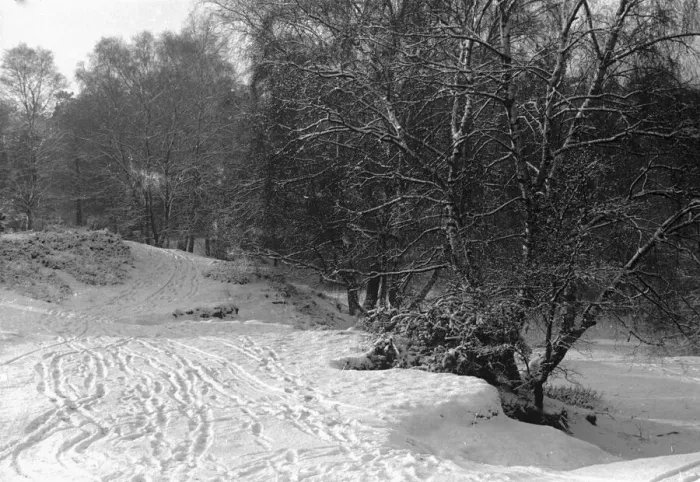 Framed Print : Snow scenes at Claygate. January 1940 L151 Framed Print : Snow scenes at Claygate. January 1940 L151