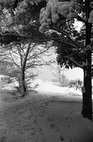 Snow Scenes at Oxshott during the winter of 1940 L104