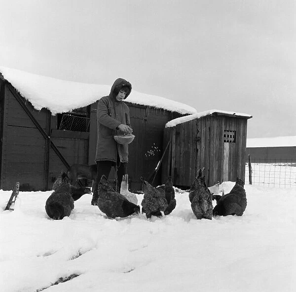 Snow at Stockton Allotments. 1971