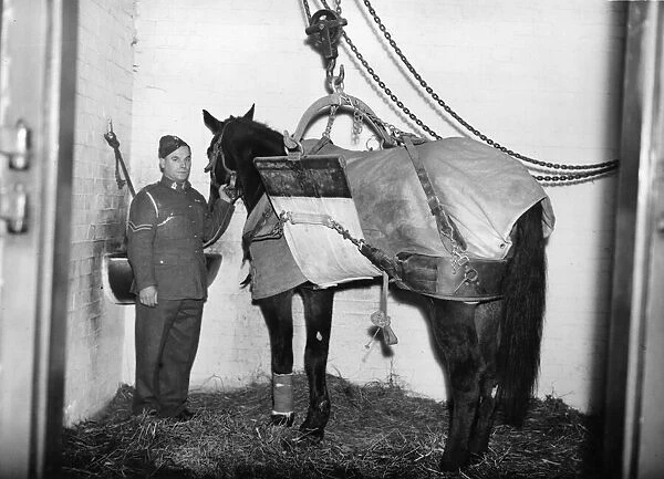 A soldier and his horse, pictured in the stables. The horse has possibly