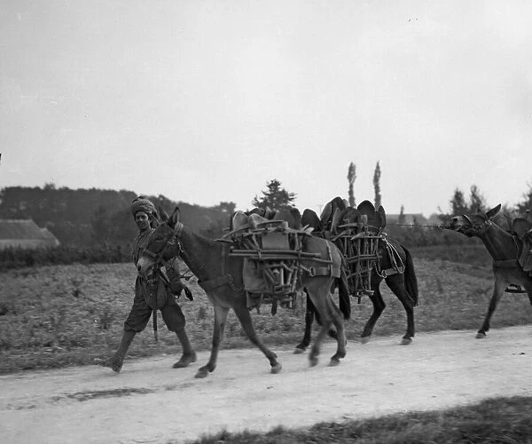 Soldiers from the 3rd Lahore Indian Division seen here with mules loaded with bails of