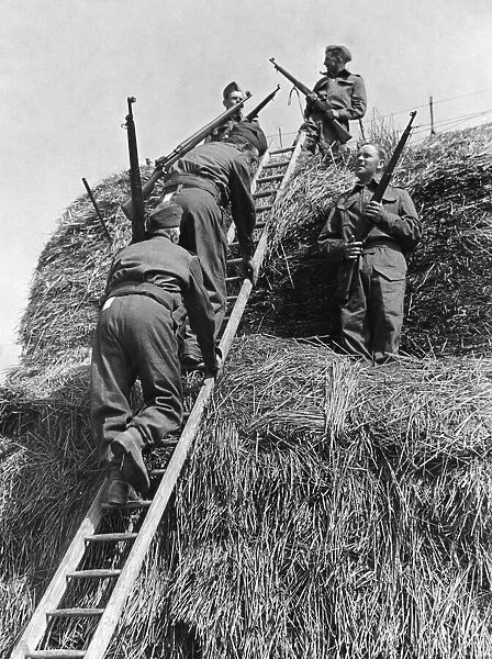 Soldiers of the British Army climbing a haystack during an anti invasion exercise in