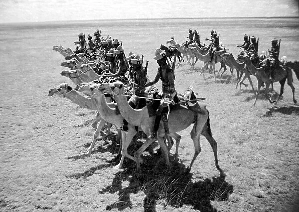 Somaliland Camel Corps in formation