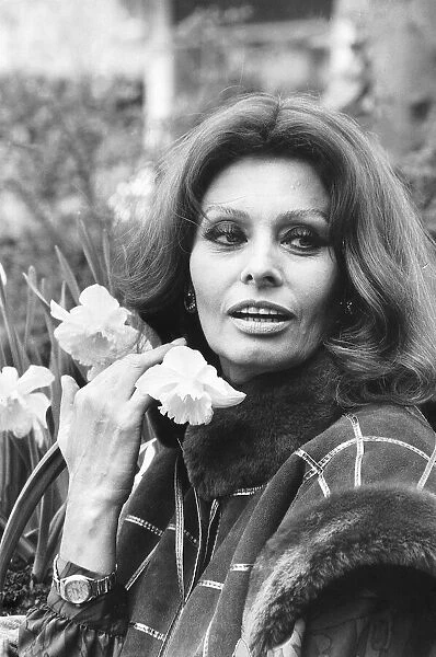 Sophia Loren actress