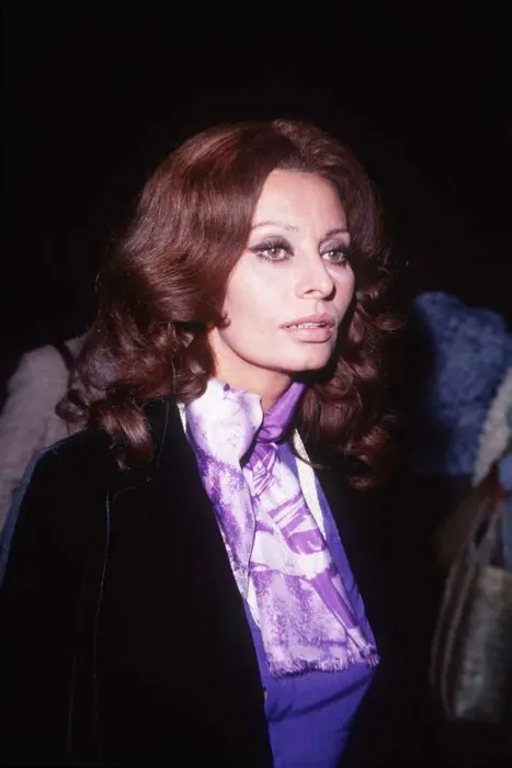Framed Print : Sophia Loren Actress - November 1977 dbase msi Framed Print : Sophia Loren Actress - November 1977 dbase msi