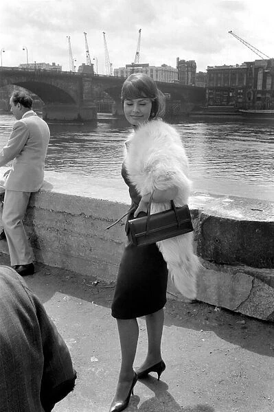 Sophia Loren filming 'The Millionairess'at London Bridge. June 1960 M4468-013