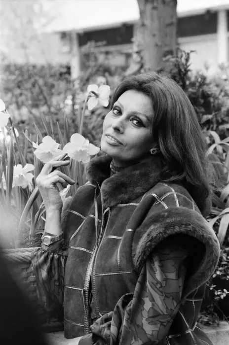 Framed Print : Sophia Loren pictured in London, promoting her new perfume Sophia Framed Print : Sophia Loren pictured in London, promoting her new perfume Sophia
