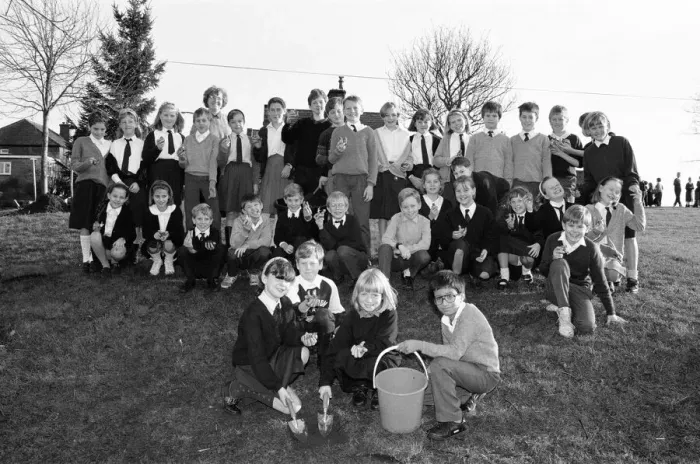 Framed Print : South Crosland CE Junior School Netherton plating bulbs on the corner of Moor Lane Framed Print : South Crosland CE Junior School Netherton plating bulbs on the corner of Moor Lane