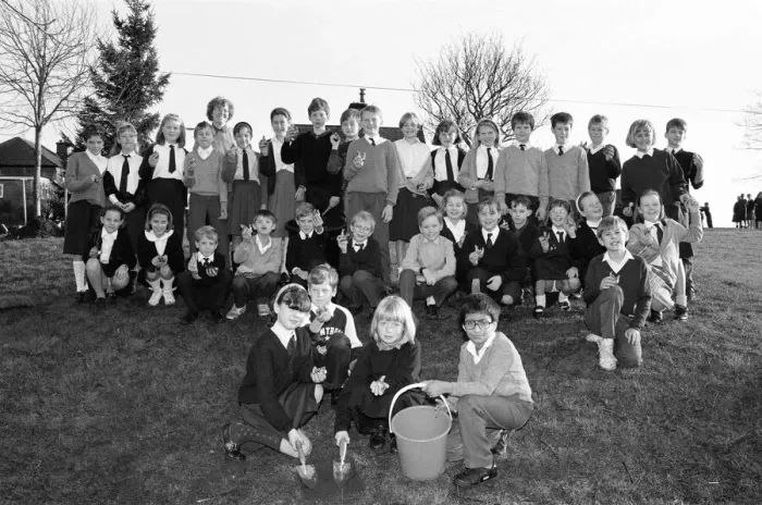 Framed Print : South Crosland CE Junior School Netherton plating bulbs on the corner of Moor Lane Framed Print : South Crosland CE Junior School Netherton plating bulbs on the corner of Moor Lane