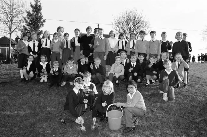 Framed Print : South Crosland CE Junior School Netherton plating bulbs on the corner of Moor Lane Framed Print : South Crosland CE Junior School Netherton plating bulbs on the corner of Moor Lane