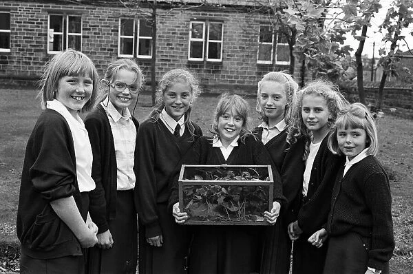 South Crosland Junior School has been collecting 'bug', in more ways than one