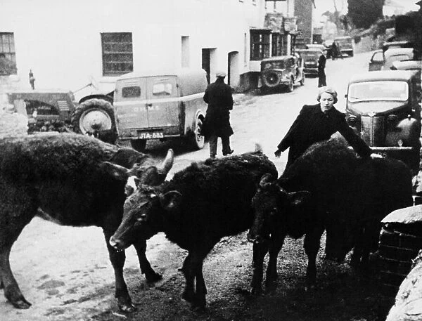 South Hams Evacuation. On the November the 4th Devon County Council were informed