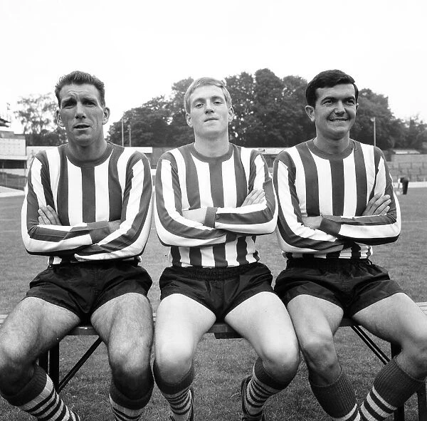 Southampton FC Pre Season Photocall, 13th August 1964. From Left to Right