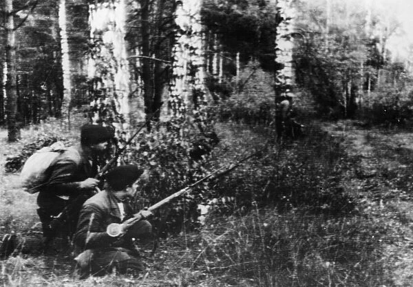 Soviet Guerillas lying in wait beside a track through a dense wood in the rear of