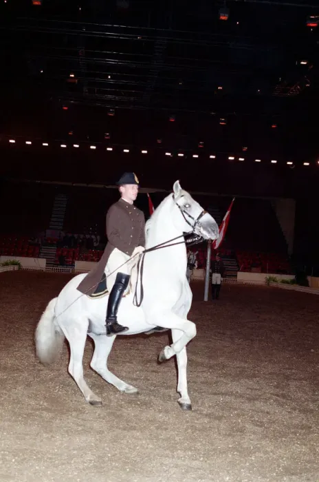 Framed Print : The Spanish Riding School rehearsing for their opening night at Wembley