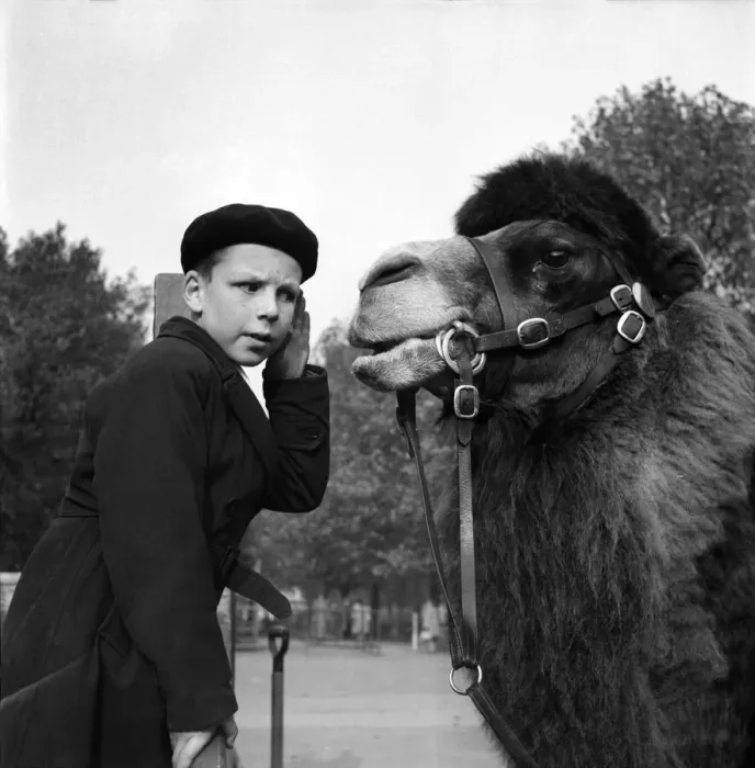 Framed Print : Speak up I can t hear you. London Zoo. Richard Roles and Willy