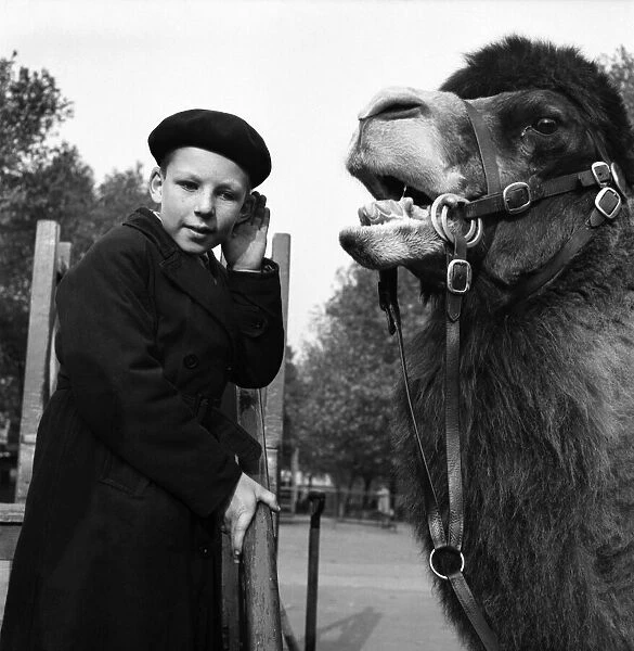 Speak up I can t hear you. London Zoo. Richard Roles and 'Willy'