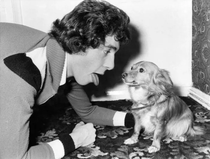 Framed Print : Are you on speaking terms with your dog? You could be it only you Framed Print : Are you on speaking terms with your dog? You could be it only you