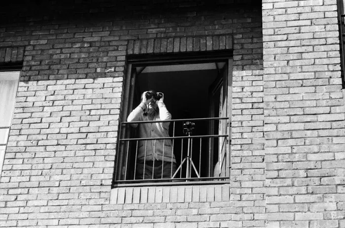 Framed Print : A spectator watching Princess Diana visiting the Boyd Court Guinness Trust Housing Estate