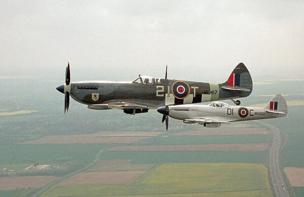 A Spitfire Mk IXe (ML417) flying in formation with a Mk XIV Spitfire of the Fighter